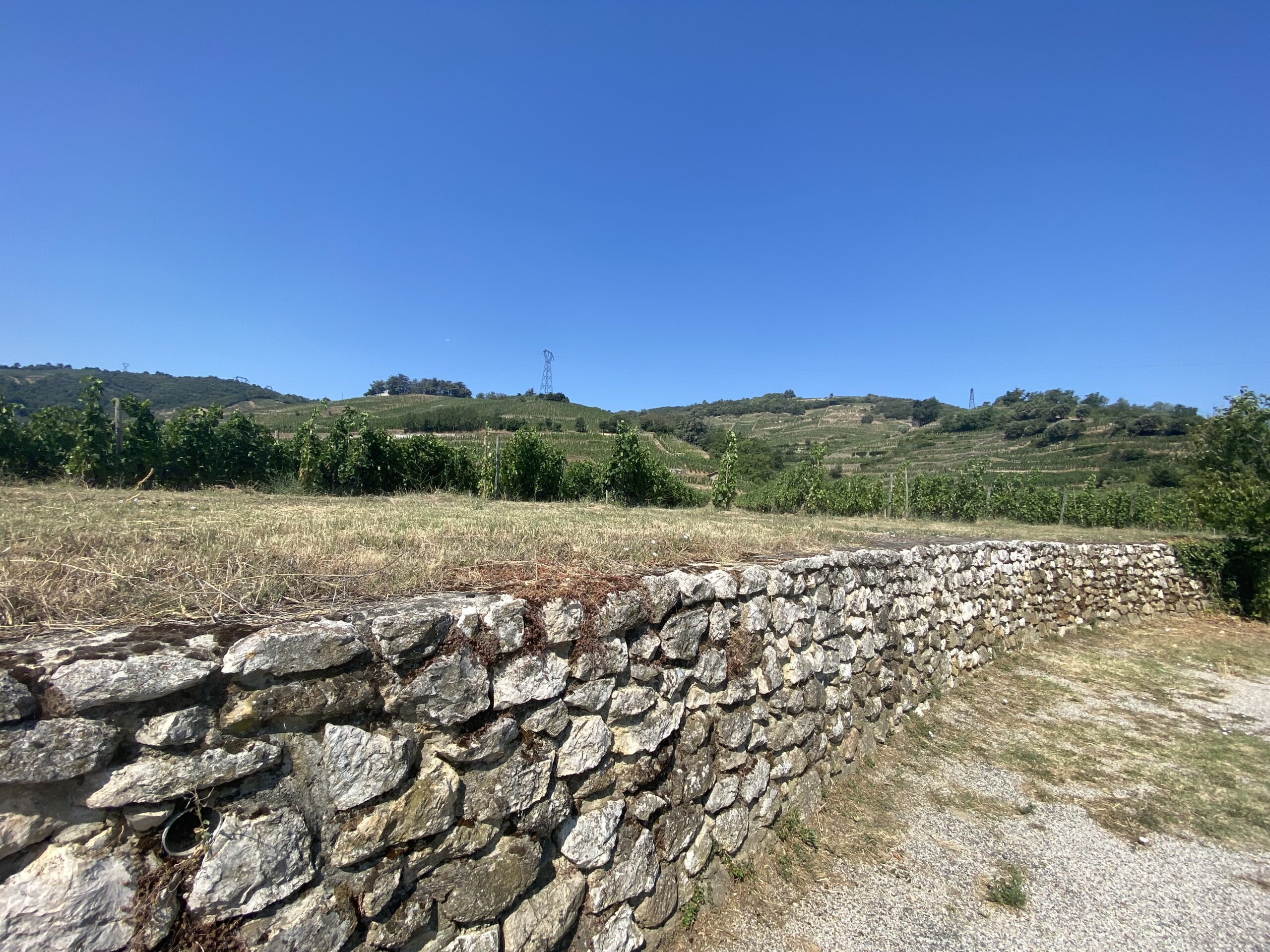 Vignes et murets en pierres sèches, Cornas