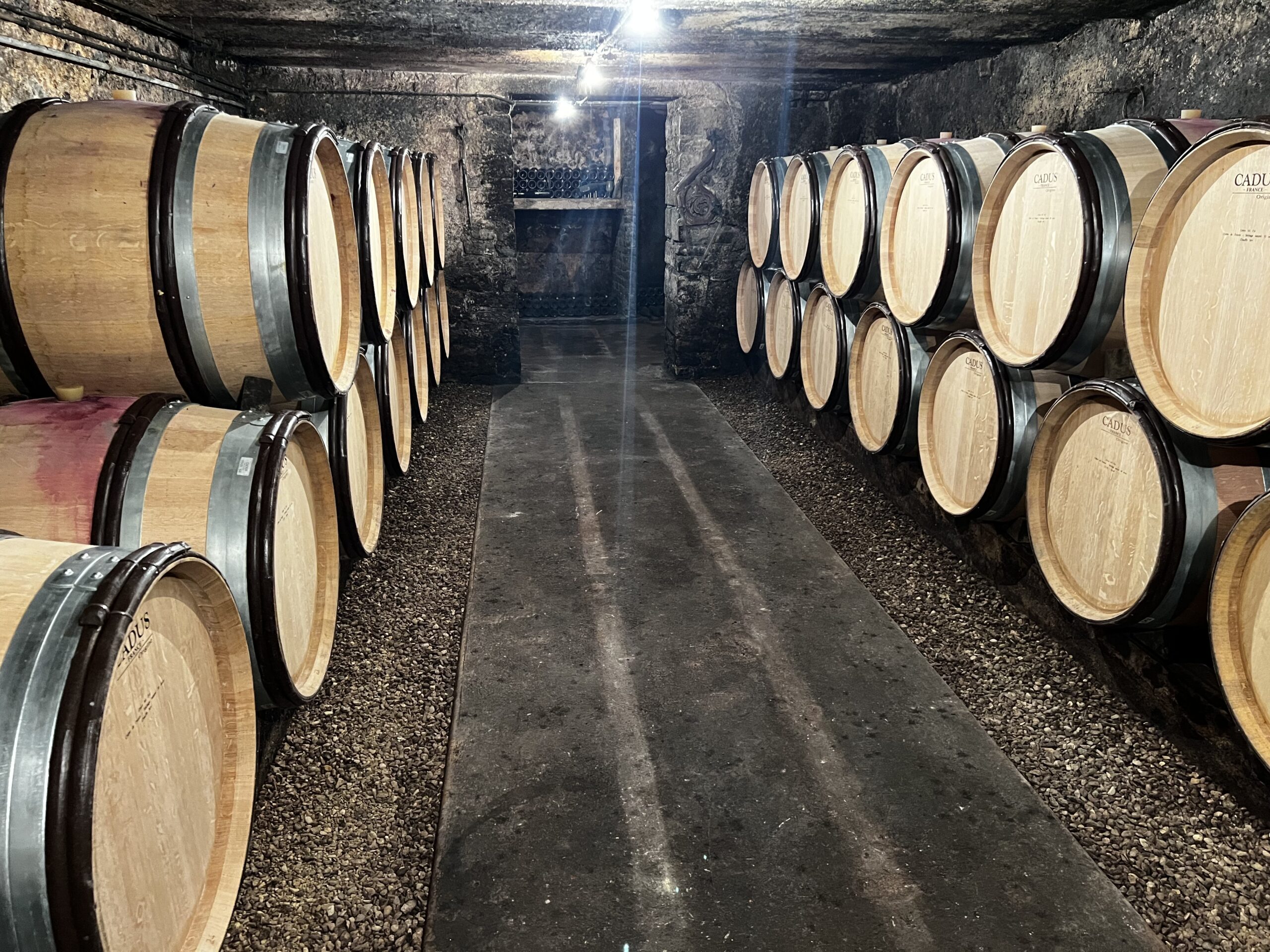 Cave voûtée du Domaine Marc Roy, Gevrey-Chambertin