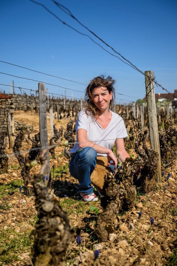 Domaine Marc Roy
