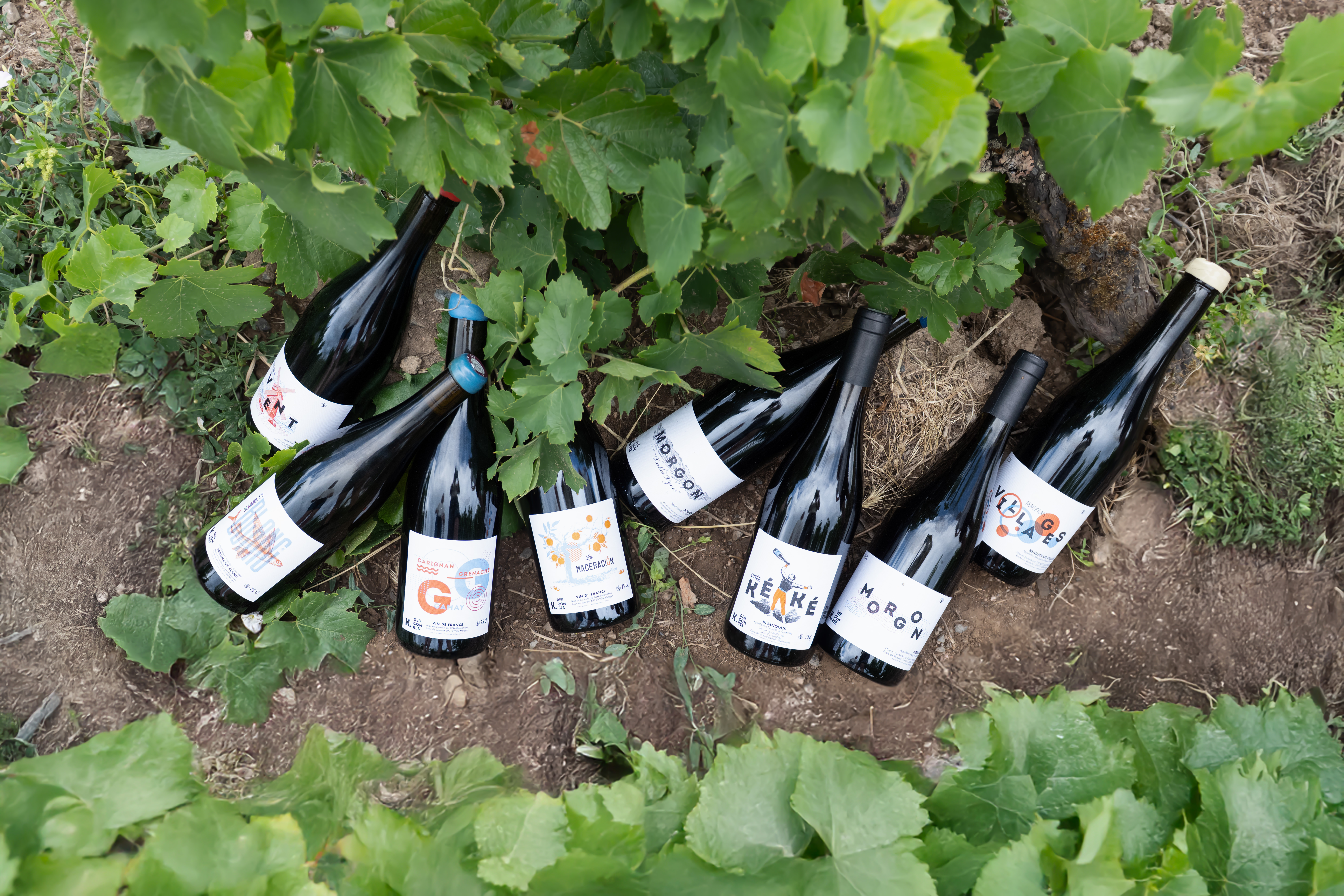Les bouteilles de Kewin Descombes