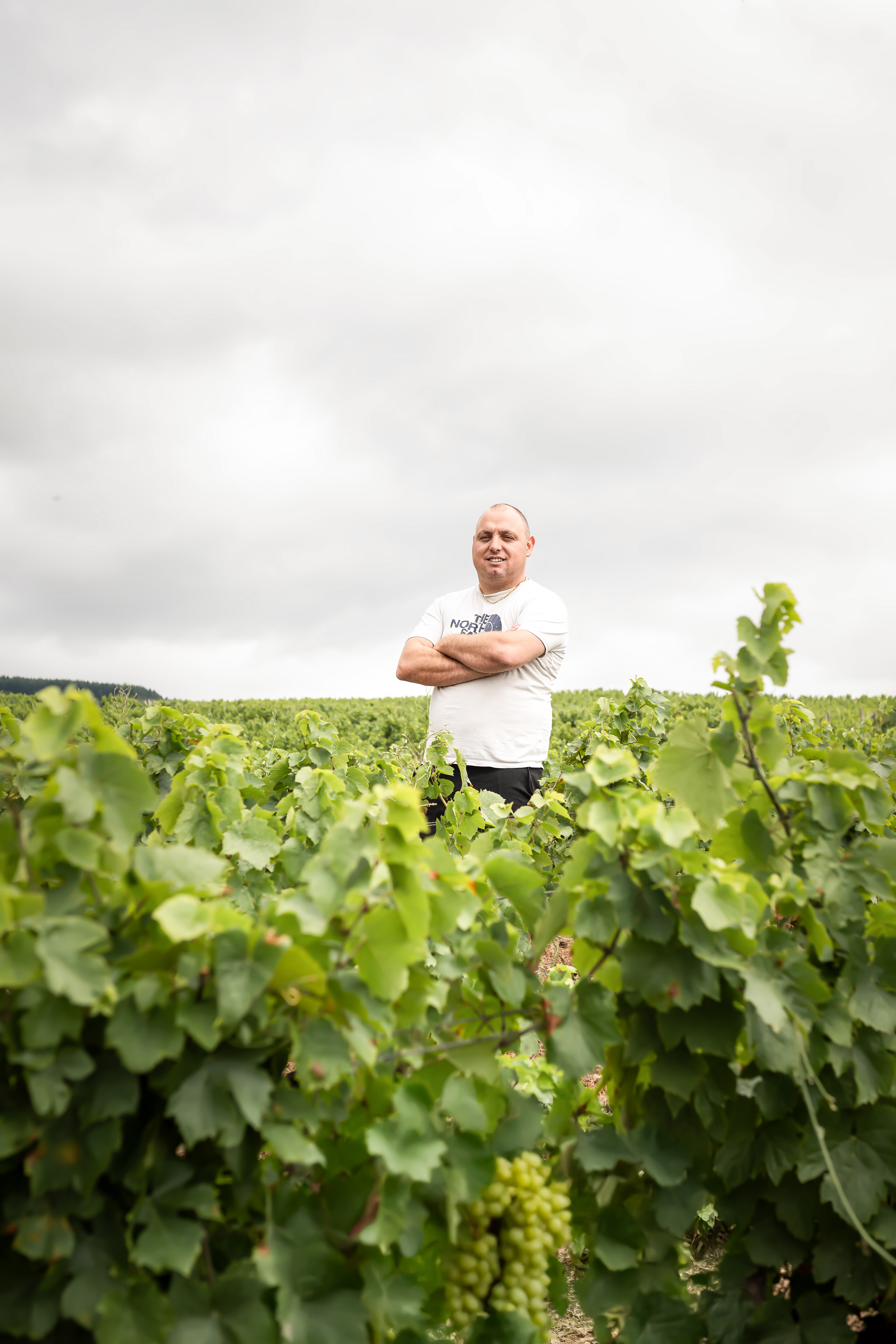 Kewin Descombes dans ses vignes
