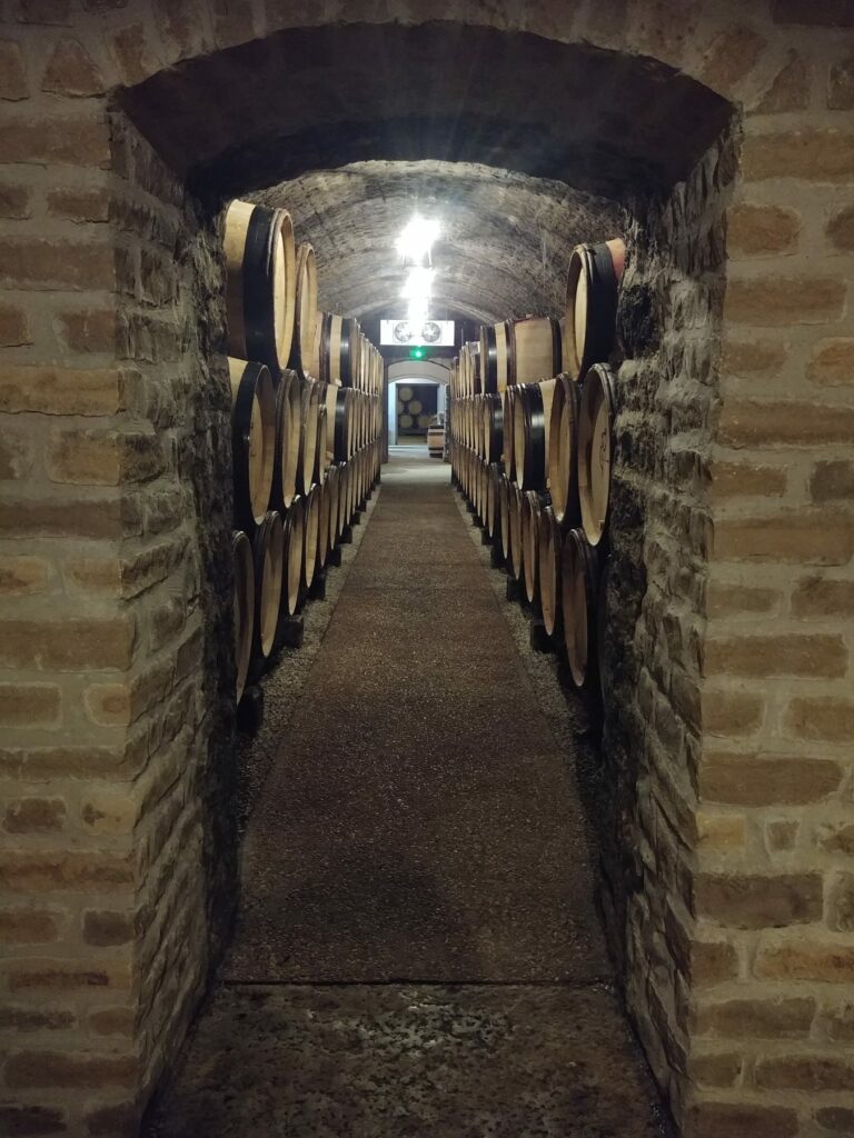Les mots du vin