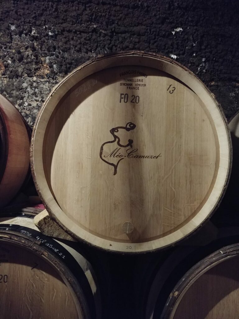 Le vin, c’est 80 % d’émotion, 20 % de vocabulaire